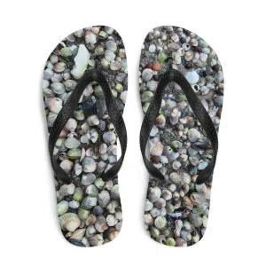 Coastal sandals Seashells on the Shore