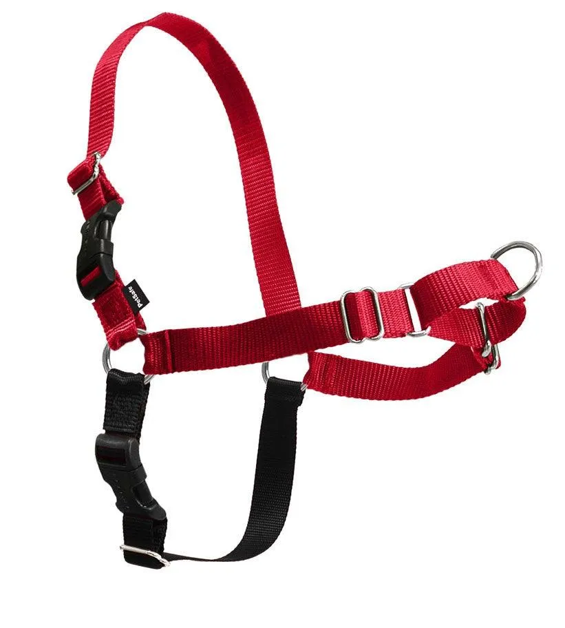 Easy Walk Harness