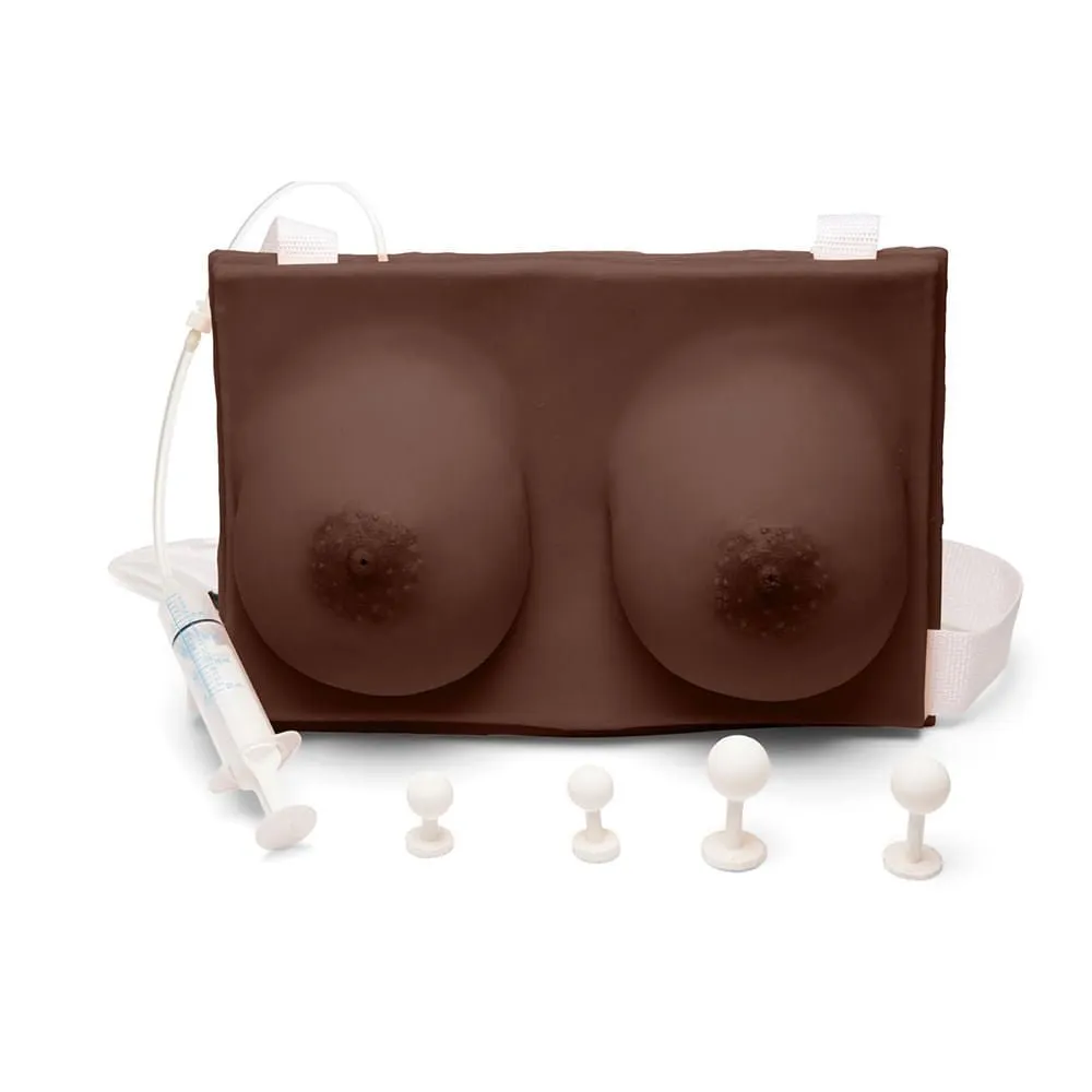 Female Lactation Chest
