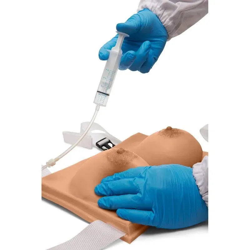 Female Lactation Chest