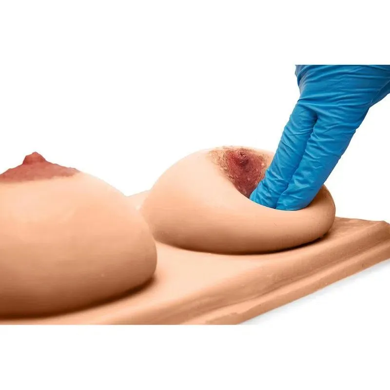 Female Lactation Chest