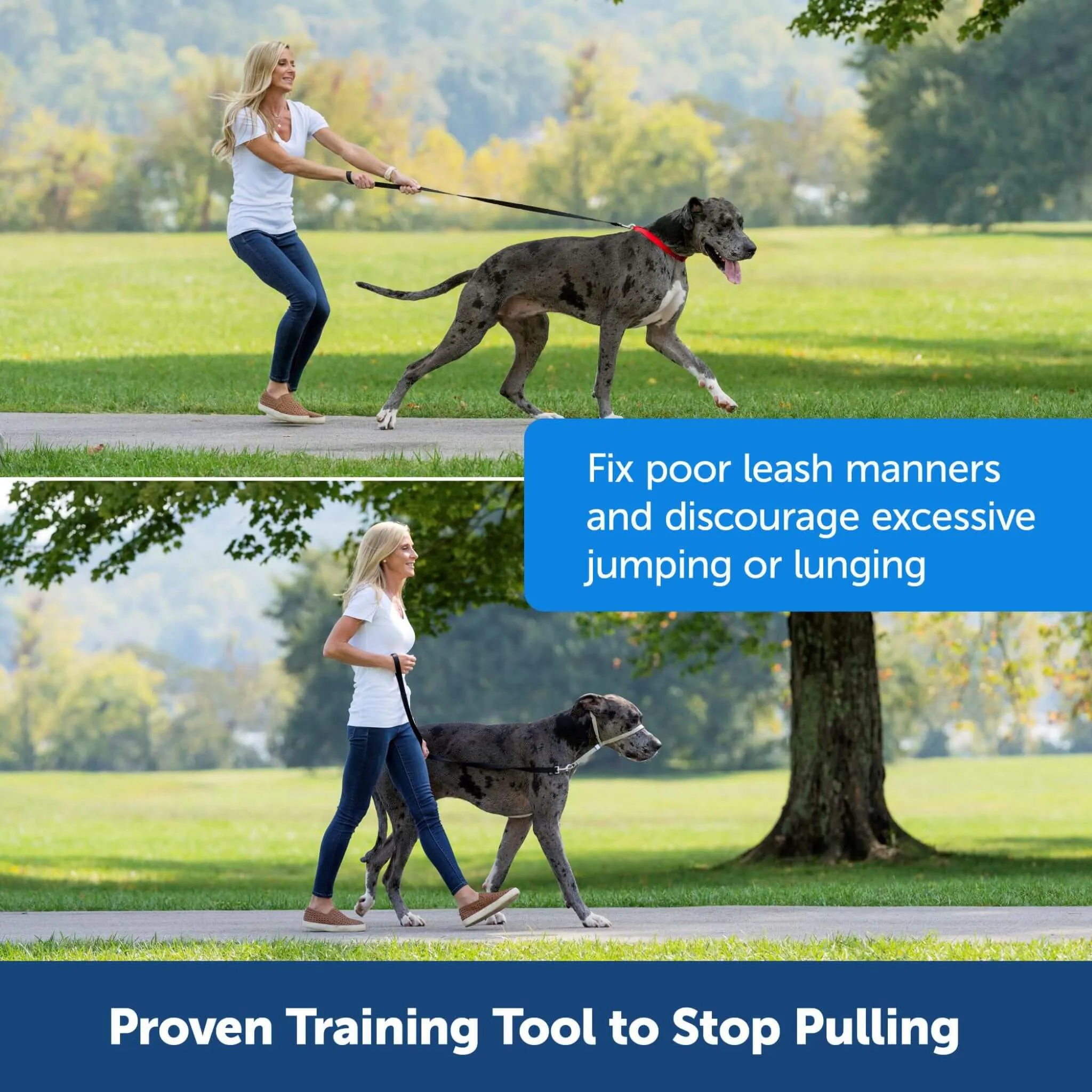 Gentle Leader No-Pull Dog Collar