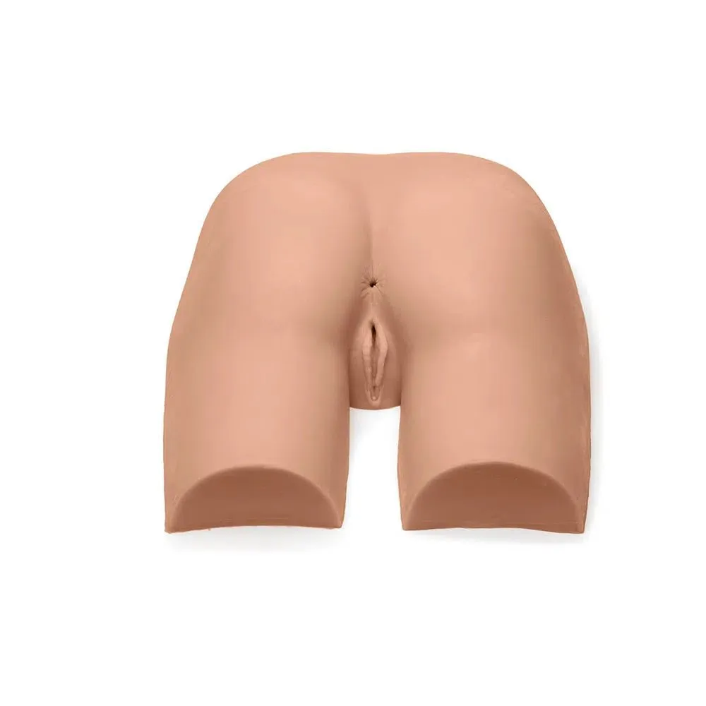 Gluteal Model