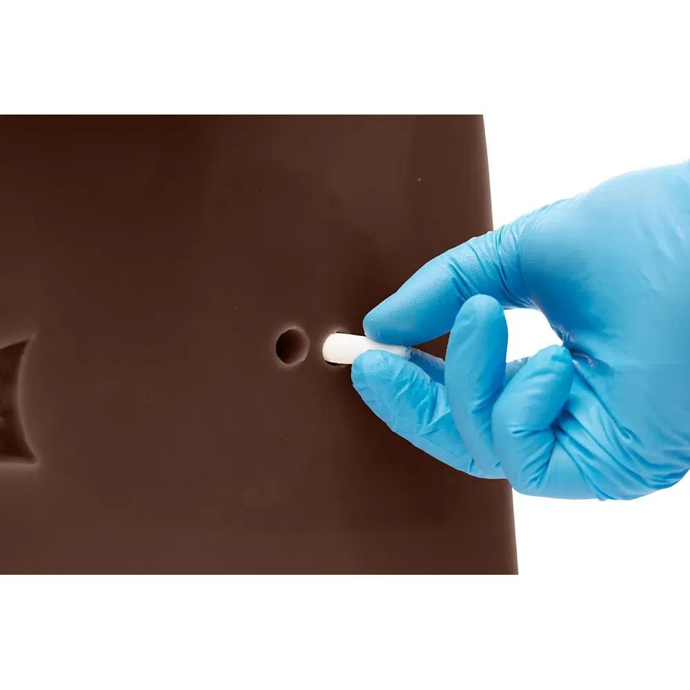 Gluteal Model