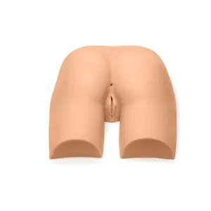 Gluteal Model