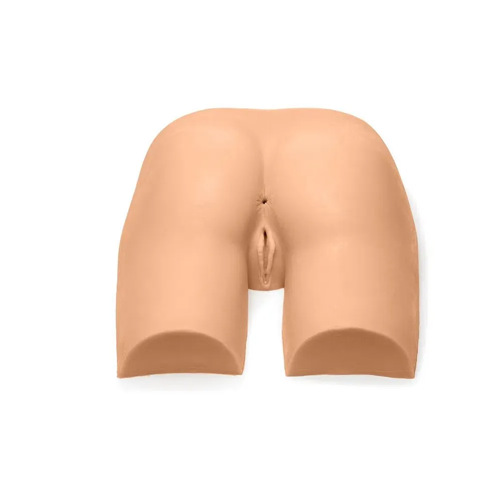 Gluteal Model