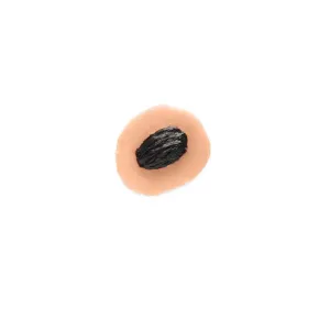 Necrotic Sticky Wound
