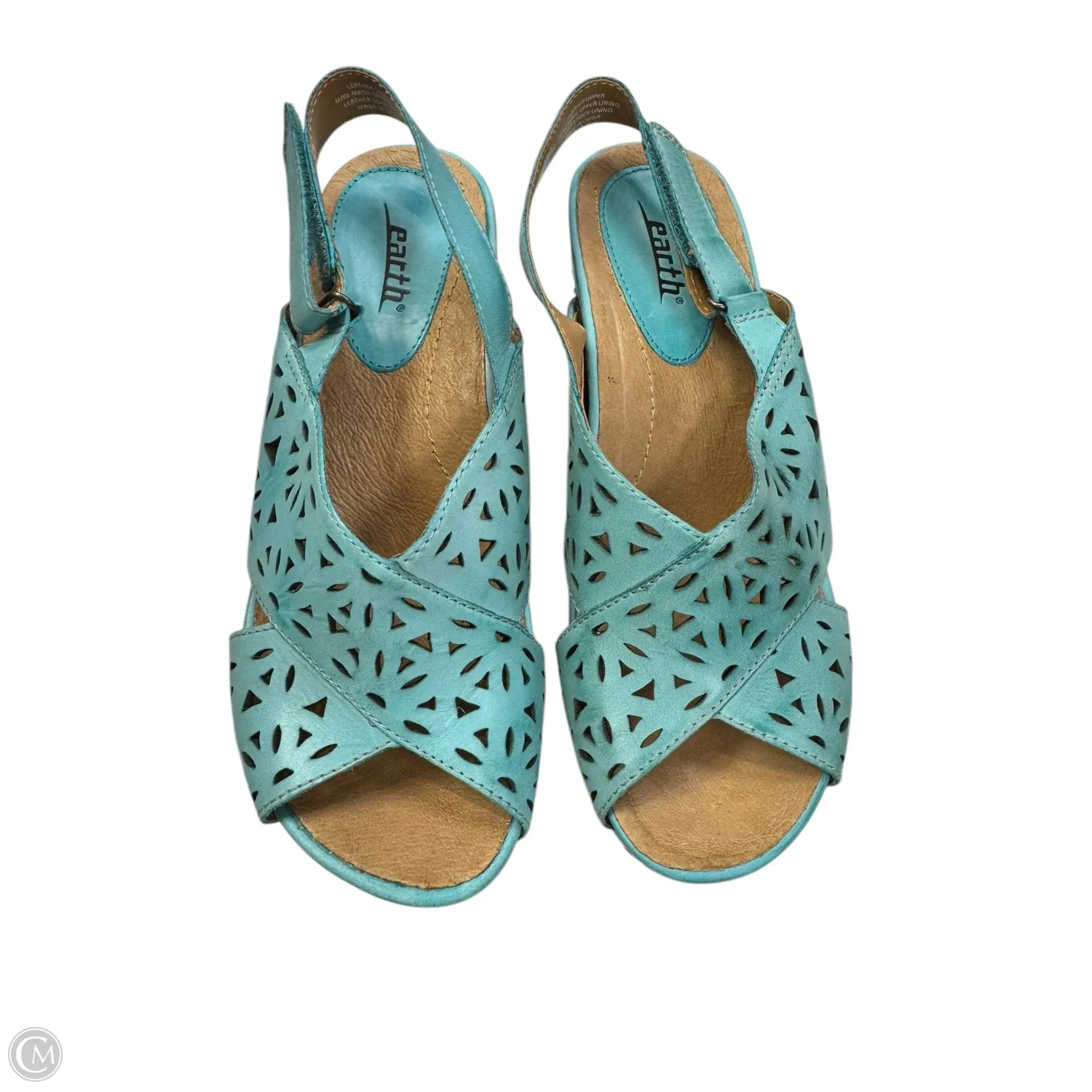 Shoes Heels Wedge By Earth In Blue & Brown, Size: 8