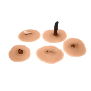 Sticky Wounds with Embedded Objects