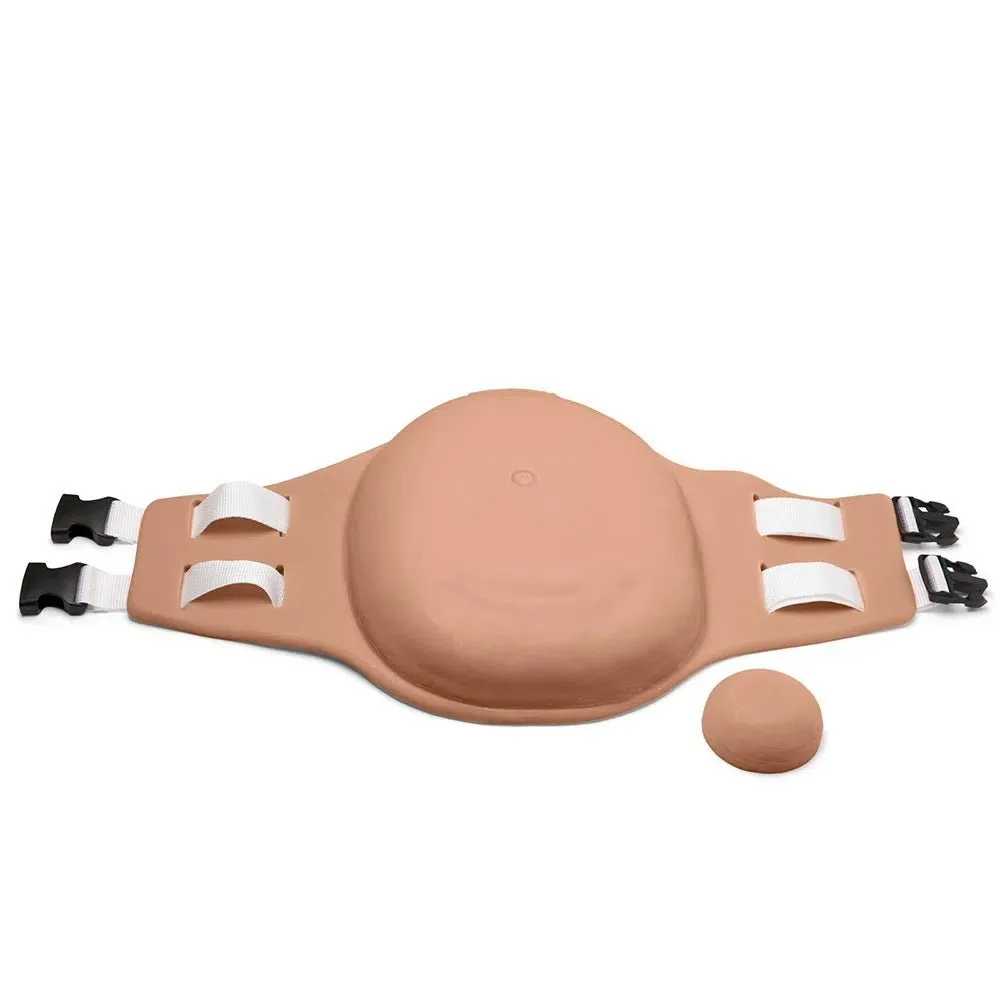 Uterine Fundus Abdomen
