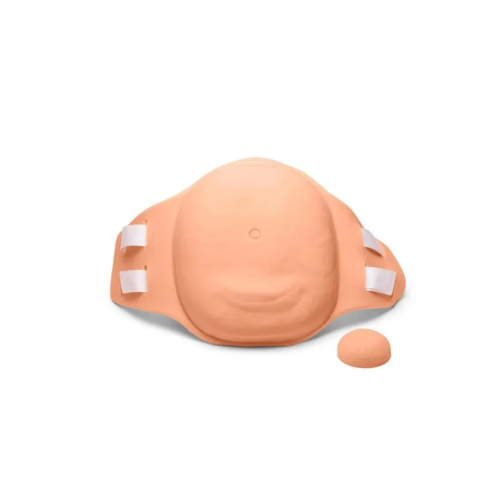 Uterine Fundus Abdomen