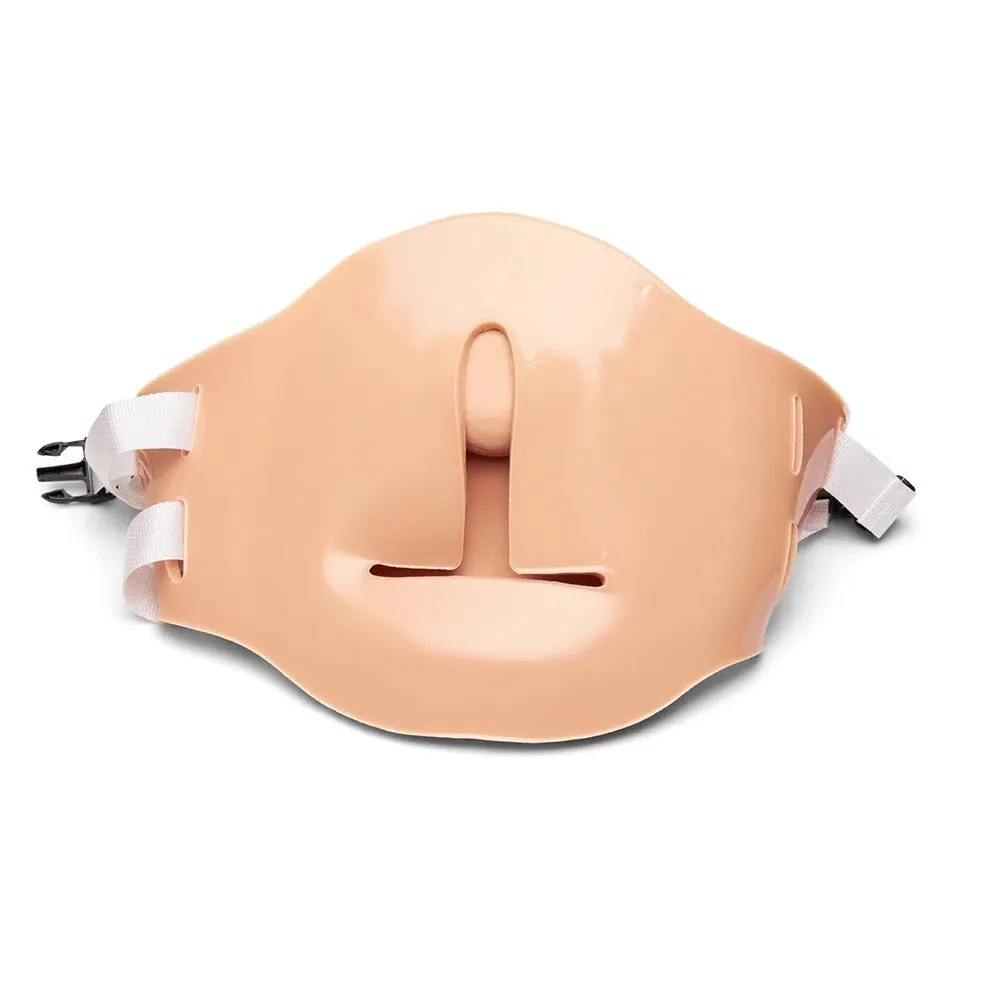 Uterine Fundus Abdomen
