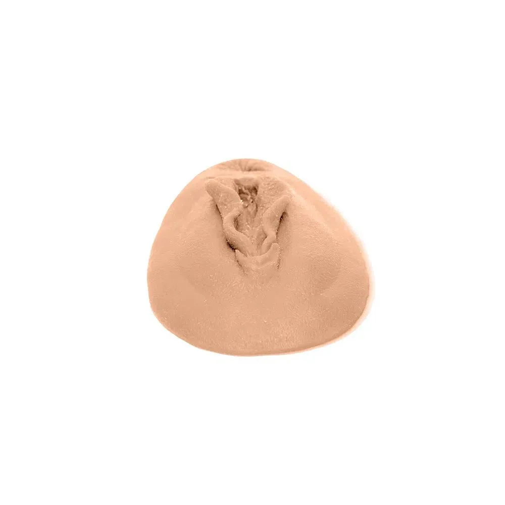 Vaginal Model: Haemorrhoid and Episiotomy Model