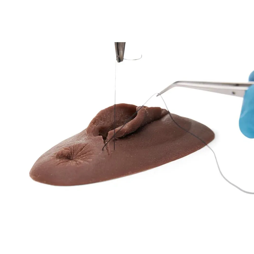 Vaginal Model: Haemorrhoid and Episiotomy Model